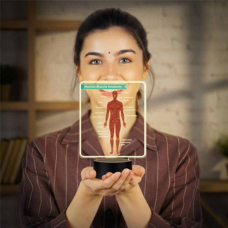 3D Illusion Human Muscle Anatomy LED Lamp with Warm White Light Gift for Medical & Science Student Home, Clinic, Hospital & Study Desk Table Decor